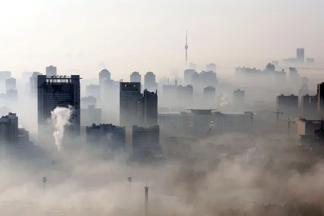 What is smog: what it consists of, how it is formed and how dangerous it is for humans